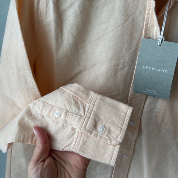 Everlane The Must-Have Oxford Shirt in Apricot NWT - Picture 6 of 9